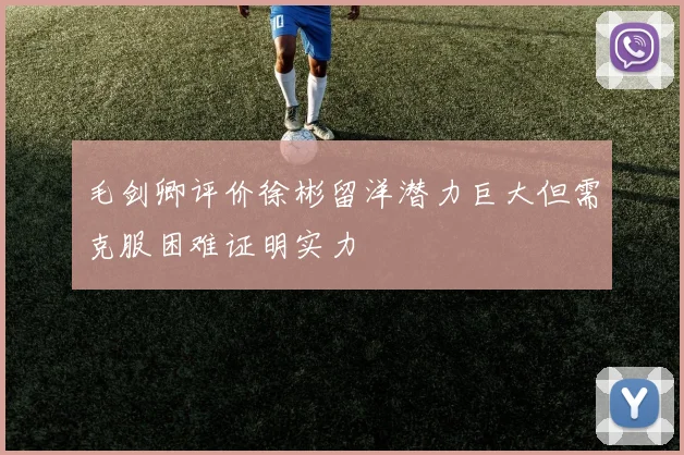 毛剑卿评价徐彬留洋潜力巨大但需克服困难证明实力