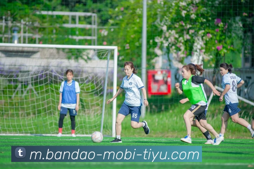 半岛体育服务体系